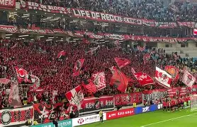 平博-足球世界运动